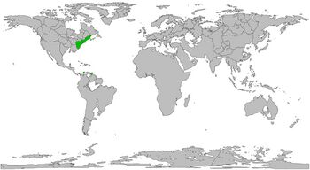 Location of Nork in the World.