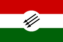 Flag of Chistovodia Čystovodja
