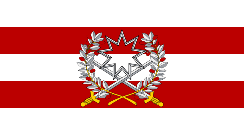 File:Skarmia Defence Services Flag.png