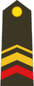 Gagian army Sergeant.png