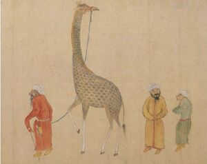 Alawese with Giraffe.jpg