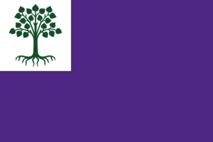 Coillanrí Flag.png