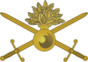 Army branch insignia.png