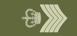 Aswick Army Colour Sergeant.png