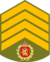 Royal Army, Chief Sergeant Patch.png