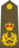 Atmoran Army OF-10.svg.png