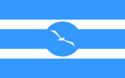 Flag of Toin