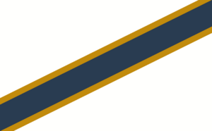 DV flag.png