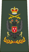 Korps Regimentsergeant-majoor van Mariniers.png