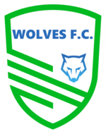 Tyrell Wolves FC logo.png