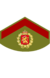 Royal Army, Private First Class Patch.png