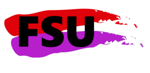 FSUpartylogo.png