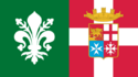 Flag of Montedica