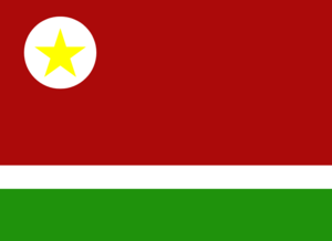 Flag of the USSKM.png