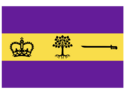 Flag of Bearstin