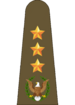 FC Colonel.png