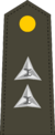 LRMC1stLt.png