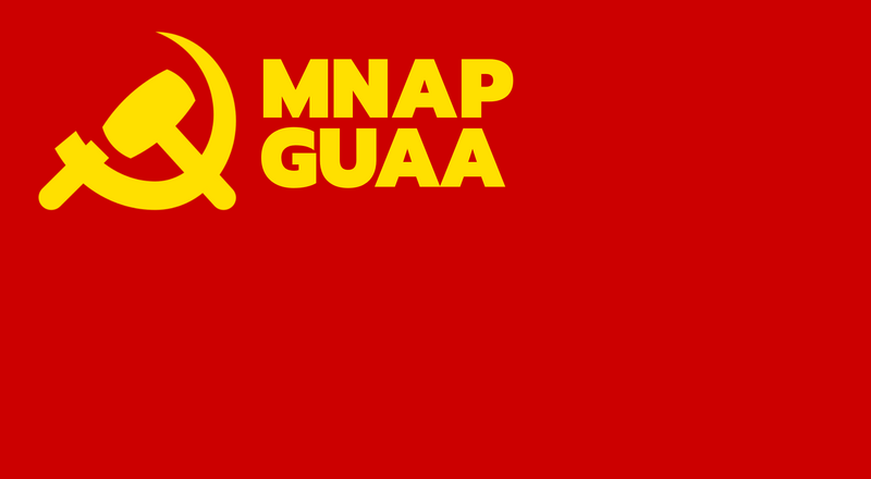 File:Flag of the MNAP.png