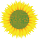 Ichoria ecologist logo.png