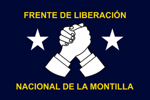 FLNM flag.png