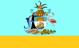 Tabarak City Flag.png