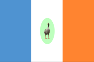 Hrabal Flag.png