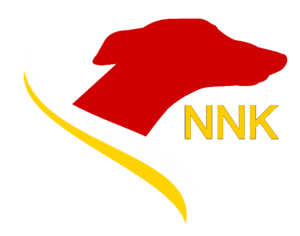 RNP logo.png