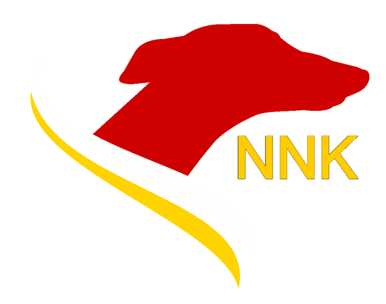 File:RNP logo.png