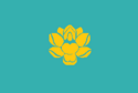 Flag of Donggwang Province.