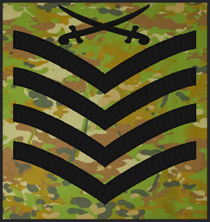 MERPAT MSGT.png