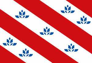 Fryslan flag.png