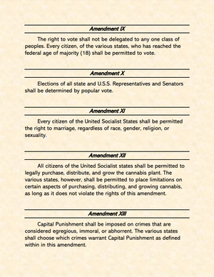 Page Twelve Arabi Constitution.png