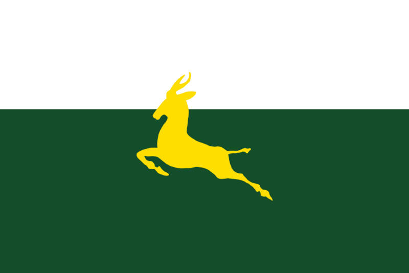 File:La Virtud flag.png