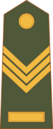 Colonel morrawia03.png