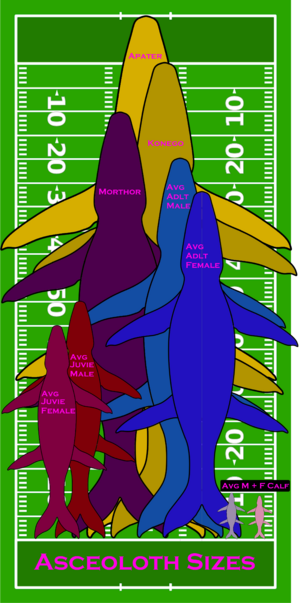 All on Field Size Comp.png