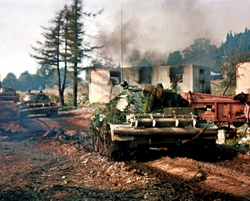 Panzer1994.png