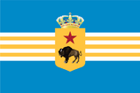 State Flag of Prokhogorsk.png