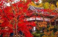 Fall colors at an Eklise in Sogumi