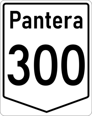 PN-300.png