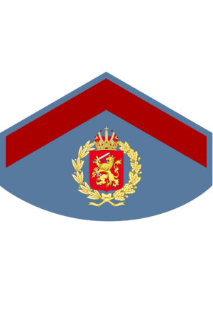 Royal Air Force, Airman 1st Class Patch.png
