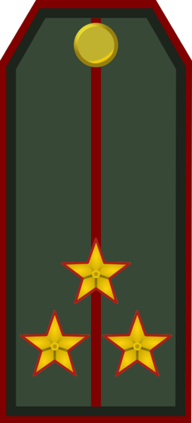 File:Service Holyn Ground Forces OF 2.png