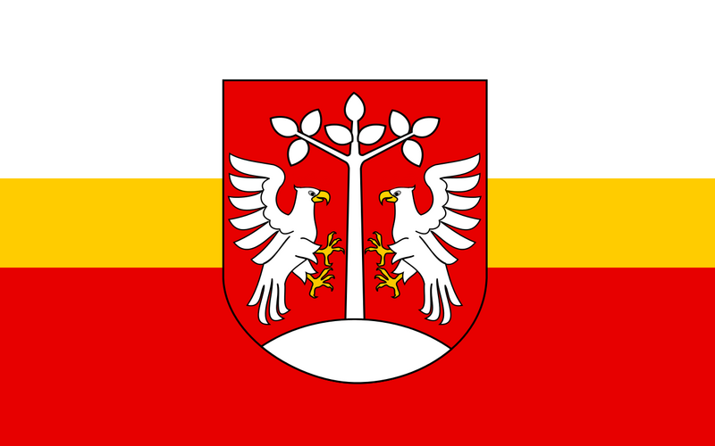 File:WybrzaniaFlag.png