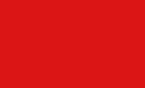 1st-Civil-War-of-Fravina-Socialists-Flag.png