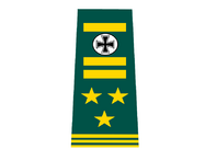 General erster Klasse rank.png