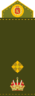 Royal Army, Brigadier General.png