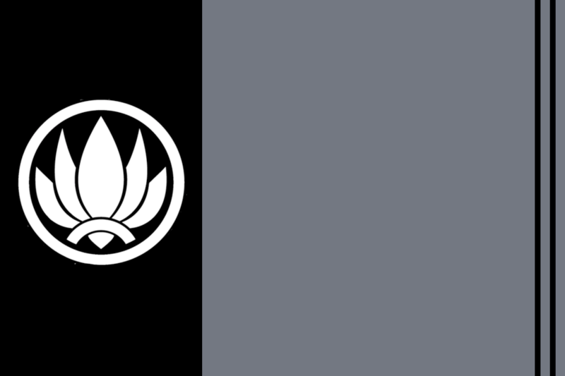 File:CSDF Territorial Forces Flag.png