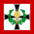 Flag of the Mascyllary Colonel of the Regiment of the Army.png