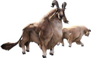 Mystrian goat.jpg