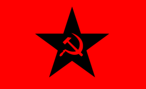 Ultranationalistflag.png