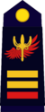 Gagian airforce LtColonel.png